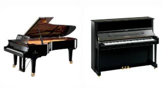 Đàn piano cơ